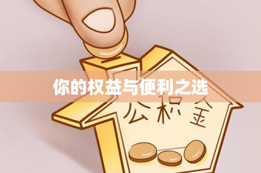 河津你的权益与便利之选