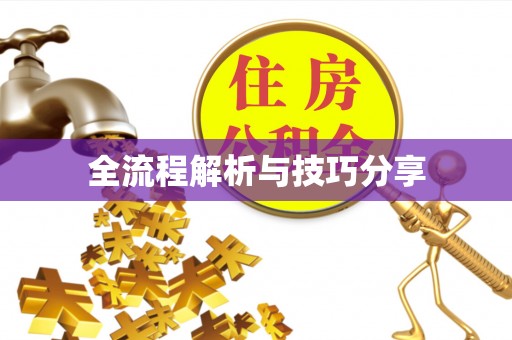 河津全流程解析与技巧分享