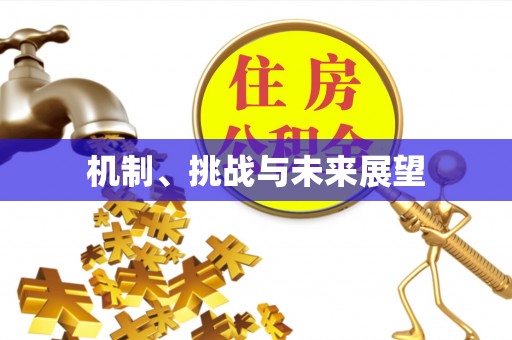 河津机制、挑战与未来展望
