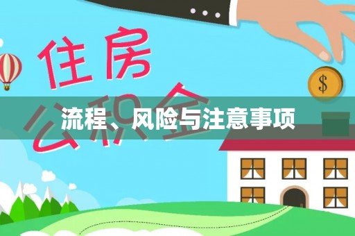 河津流程、风险与注意事项